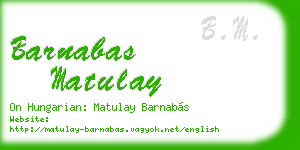 barnabas matulay business card