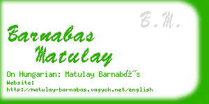 barnabas matulay business card